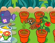 Dora's magical garden játékok ingyen