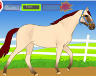 Horse dressage farmos ingyen játék